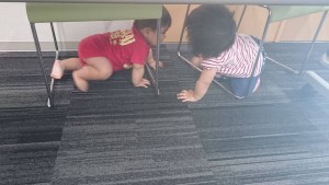 13639758_1074269565998285_671464911_o